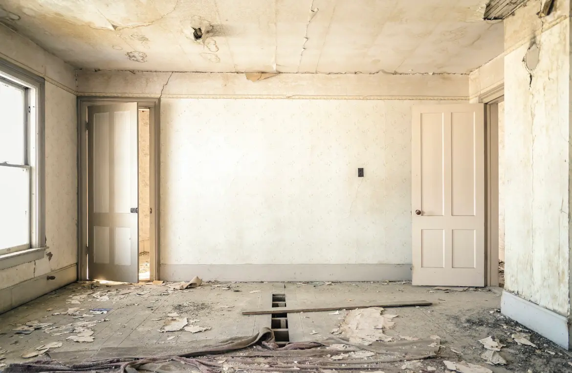 Waste disposal crew managing a cleanout project in Edgewater